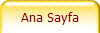 Ana Sayfa